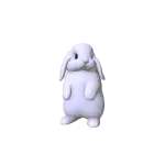 Little Chubby Bunny