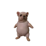 Wash My Bellay Pibble Dog