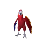 Scarlet Macaw Parrot