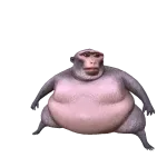 Big Monkey