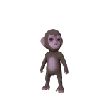 Baby Monkey