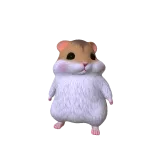 Hamster