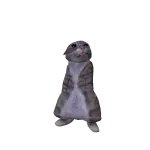 rigby cat