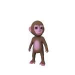 Baby Monkey