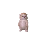 Litte Kitten