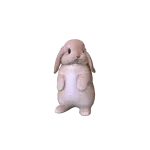 Little Chubby Bunny