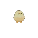 Mini Duck