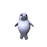 Baby Seal