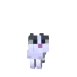 Mini Jellie Cat