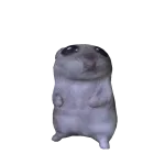 Mini Hamster