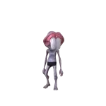 Bucktooth