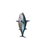 The Fish