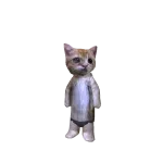 El Gato Cat Avatar