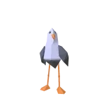 seagull