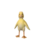 Baby Duck Avatar