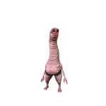Worm
