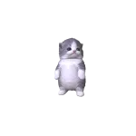 Little Kitten