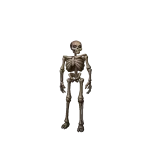 Mr. Skeleton
