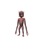 Baby Orangutan
