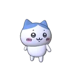 Cute White Cat