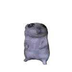 Hamster
