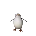 Skipper
