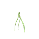 Stick Bug
