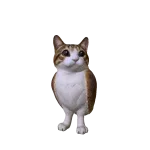 Meowl