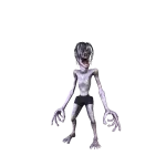 Basement Dweller