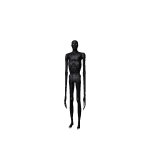 Shadow Entity