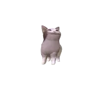 Pop Cat
