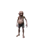 Old Lester