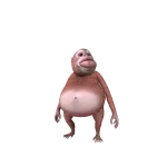 funny monkey