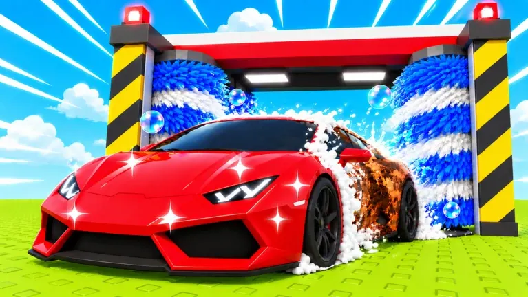 Wash the Car