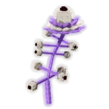 Asteris