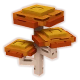 Autumn Shroom
