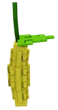 Bitter Melon
