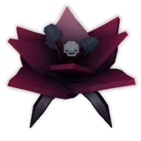 Black Bat Flower