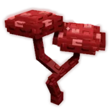 Bloodred Mushroom