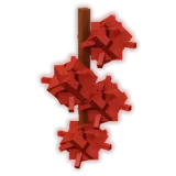 Castor Bean