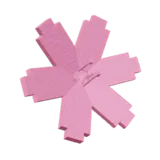 Cherry Blossom