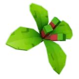 Clove