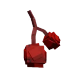 Cranberry