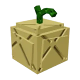 Crown Melon