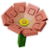 Crown of Thorns