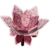 Cyclamen