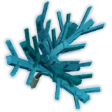Dragon Sapling