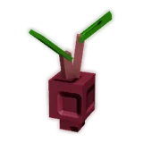 Evo Beetroot I