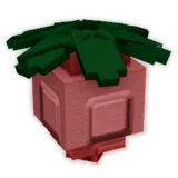 Fall Berry