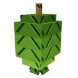 Feijoa